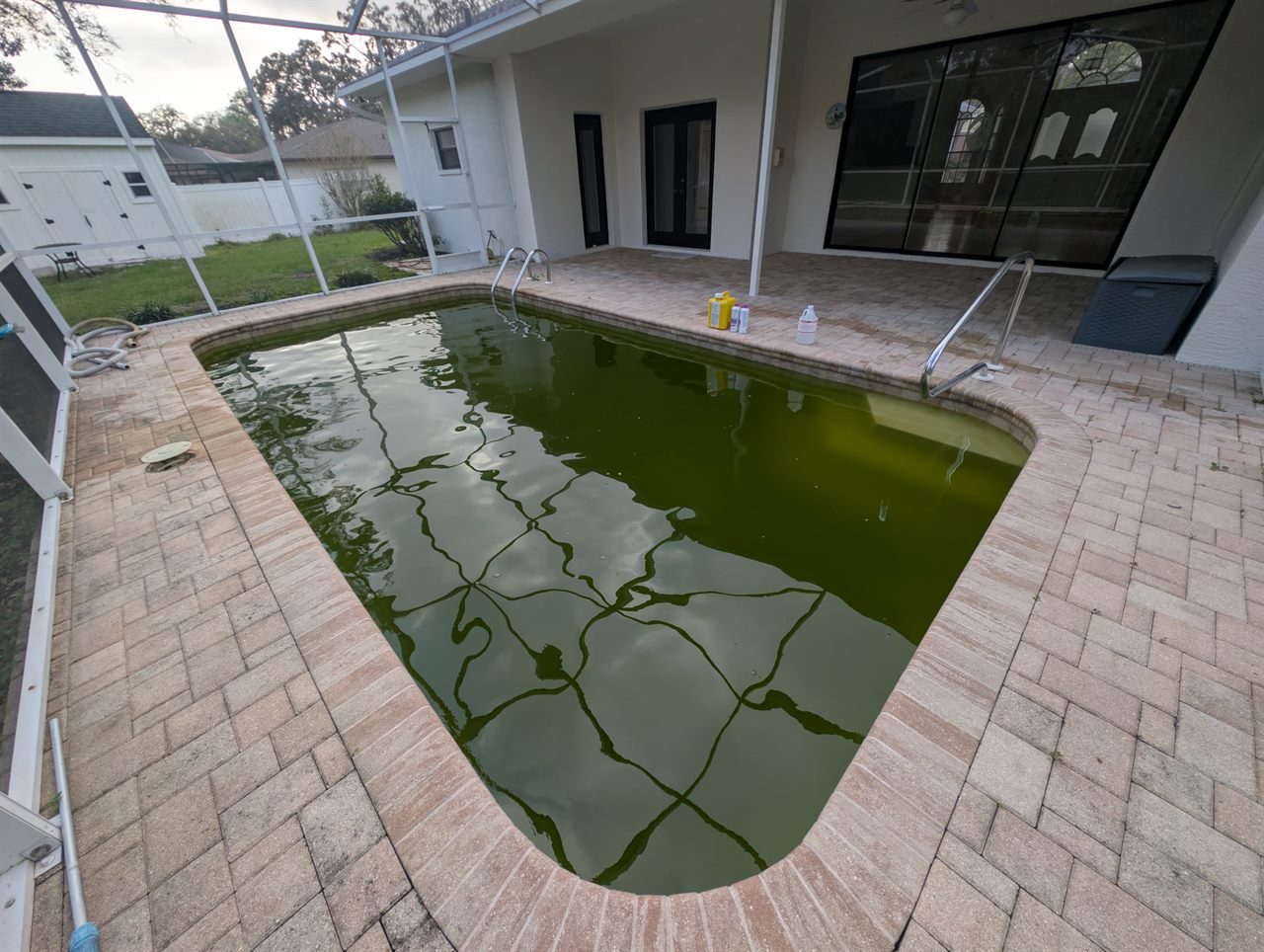 Green algae-filled pool before cleaning