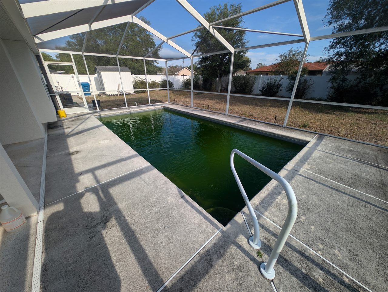 Dark green pool before green-to-clean treatment